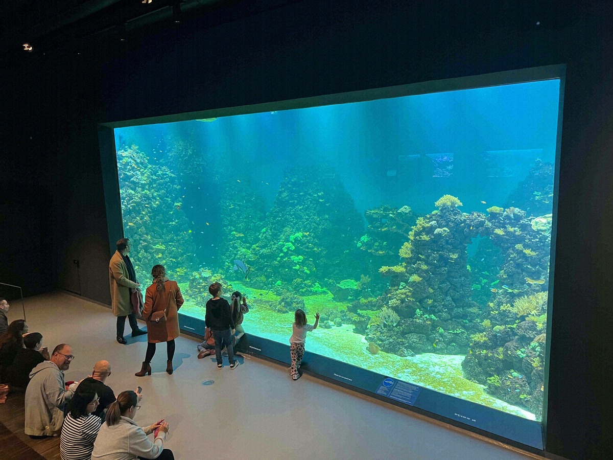 Visitors in front of the large coral reef tank at the Maritime Museum & Aquarium